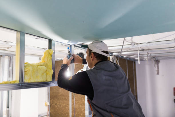 Best Residential Insulation in Sanborn, NY