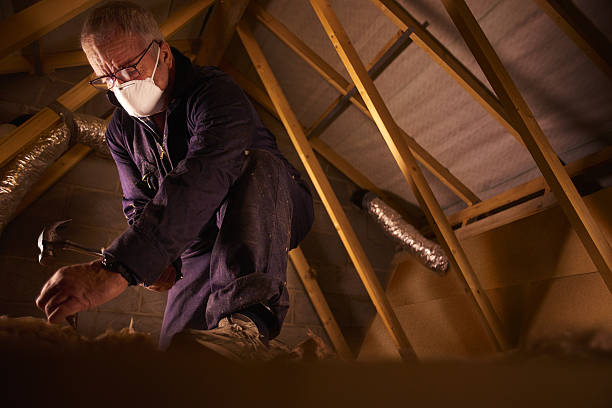 Professional Insulation Contractor in Sanborn, NY