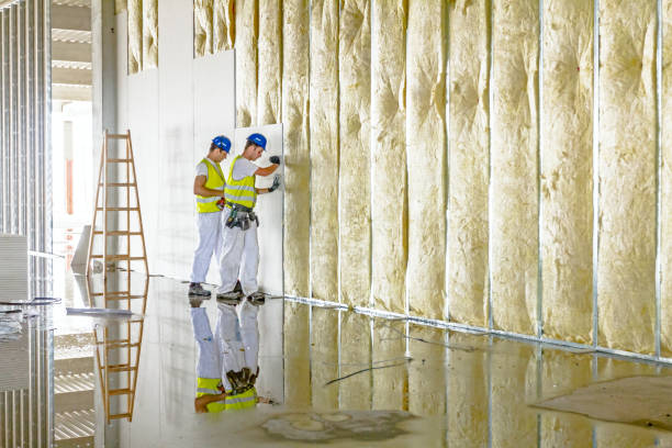 Best Geographic-Specific Insulation Services in Sanborn, NY